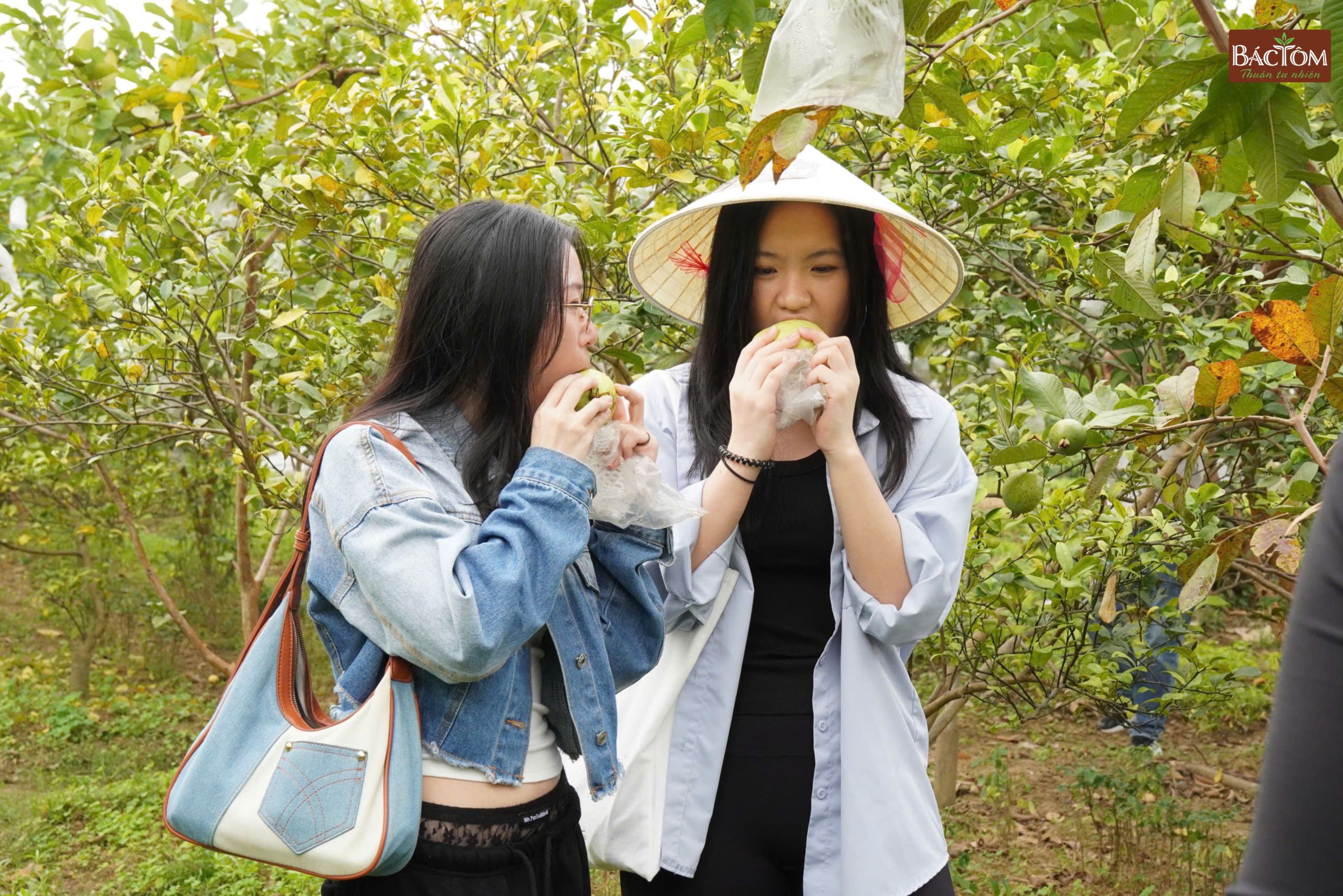 sinh viên đại học Hong Kong 1