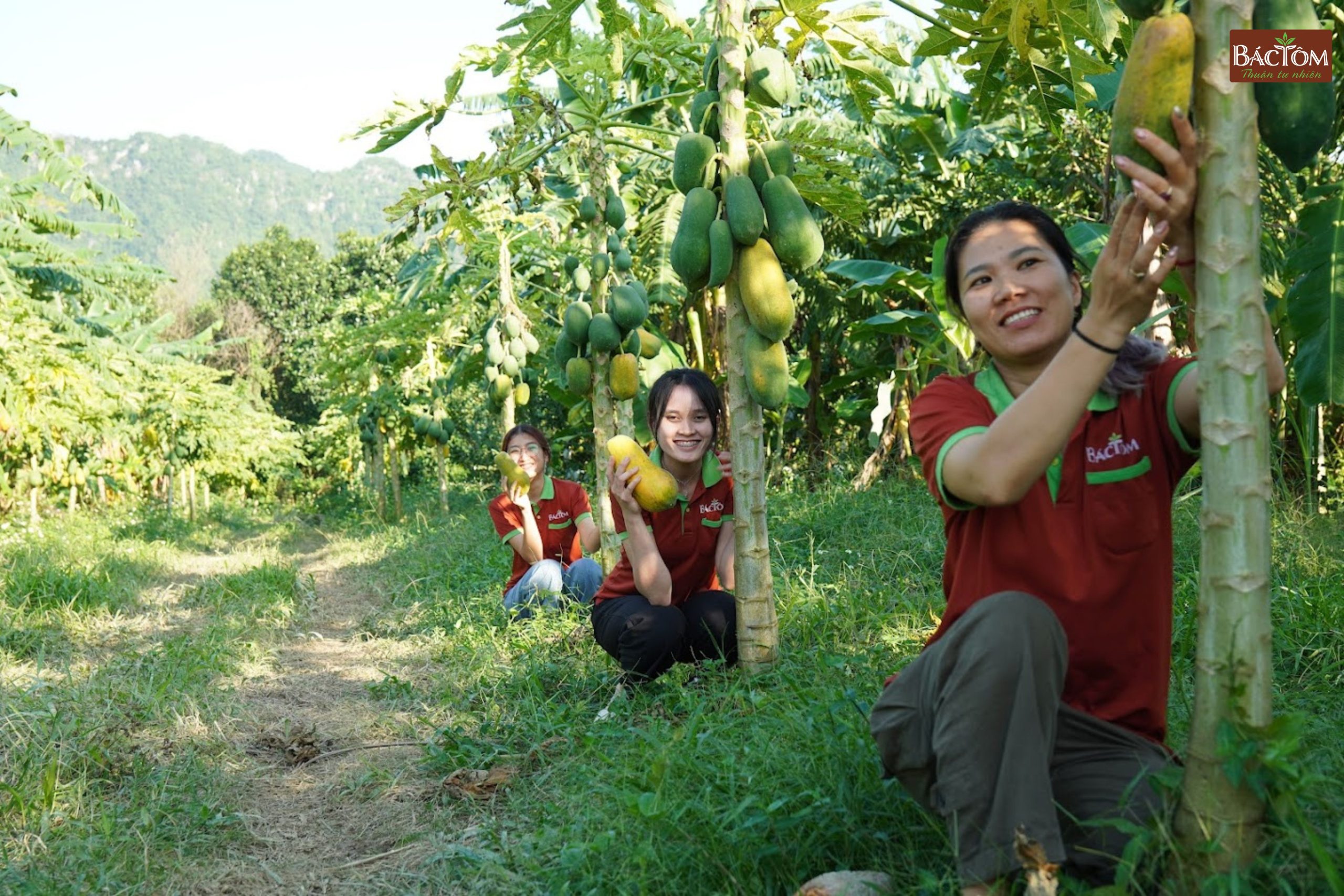 farm sinh thái đại lan