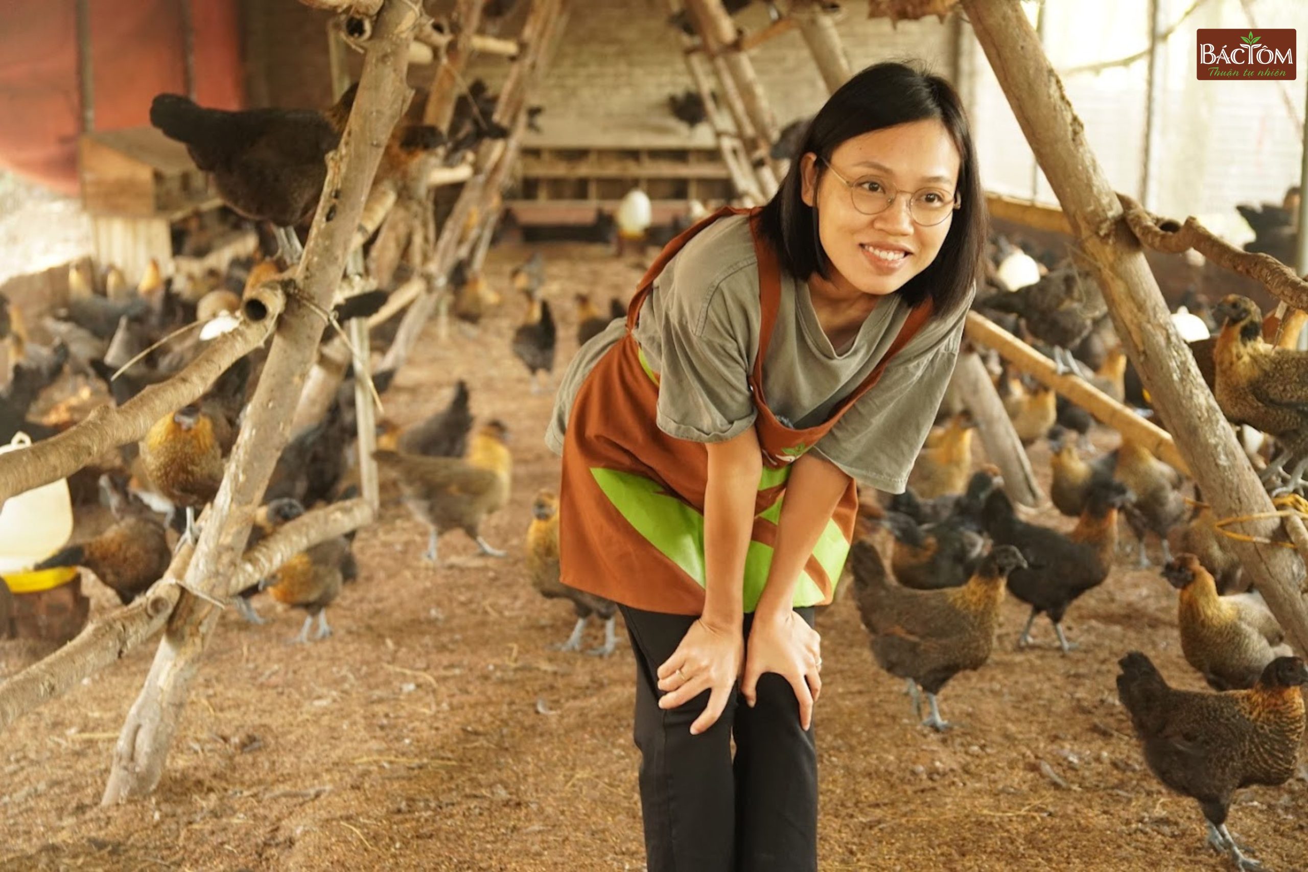 trang trại gà vi sinh thu thoan 1