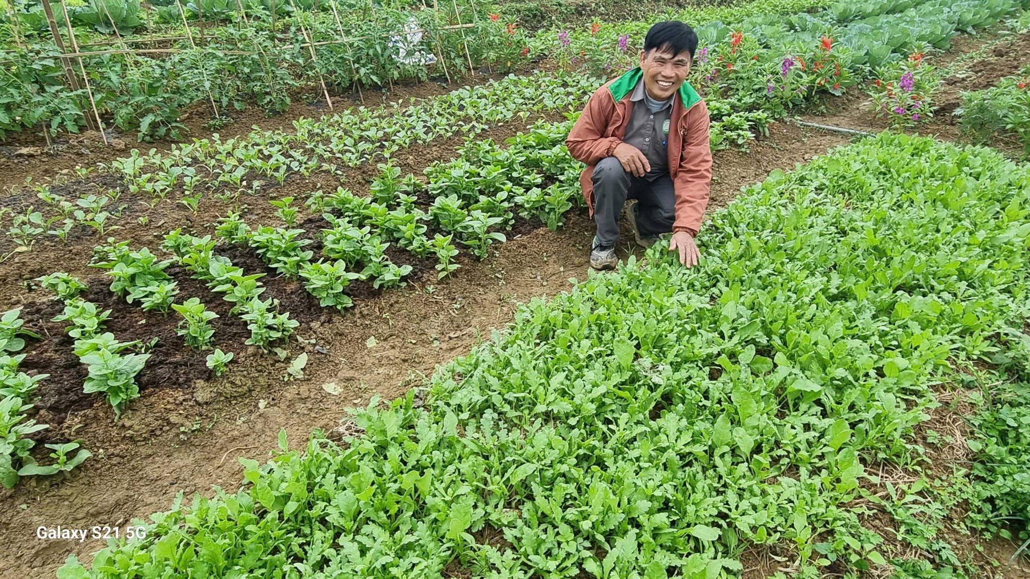 Rau Trại Hòa - Ảnh 4