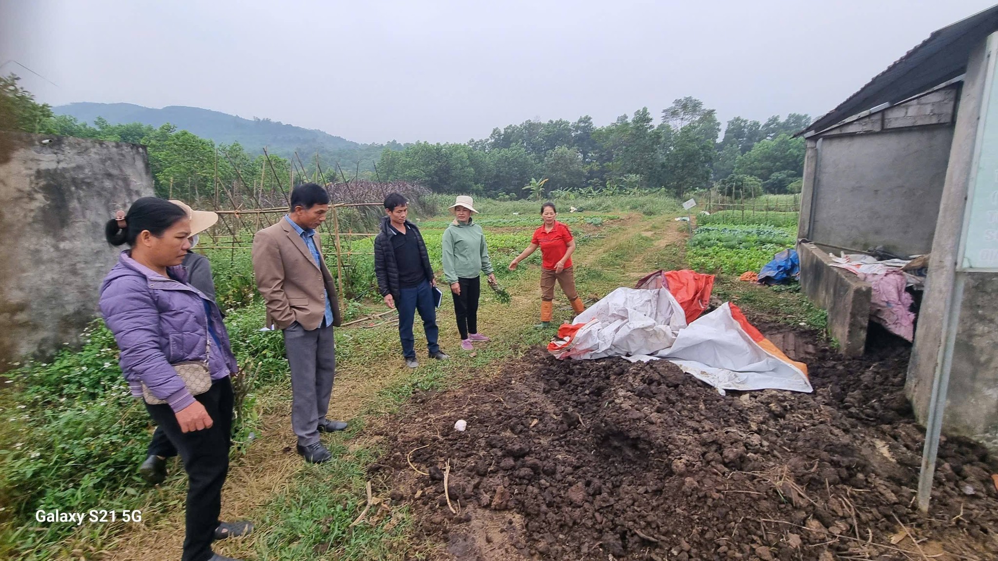 Rau Trại Hòa - Ảnh 3