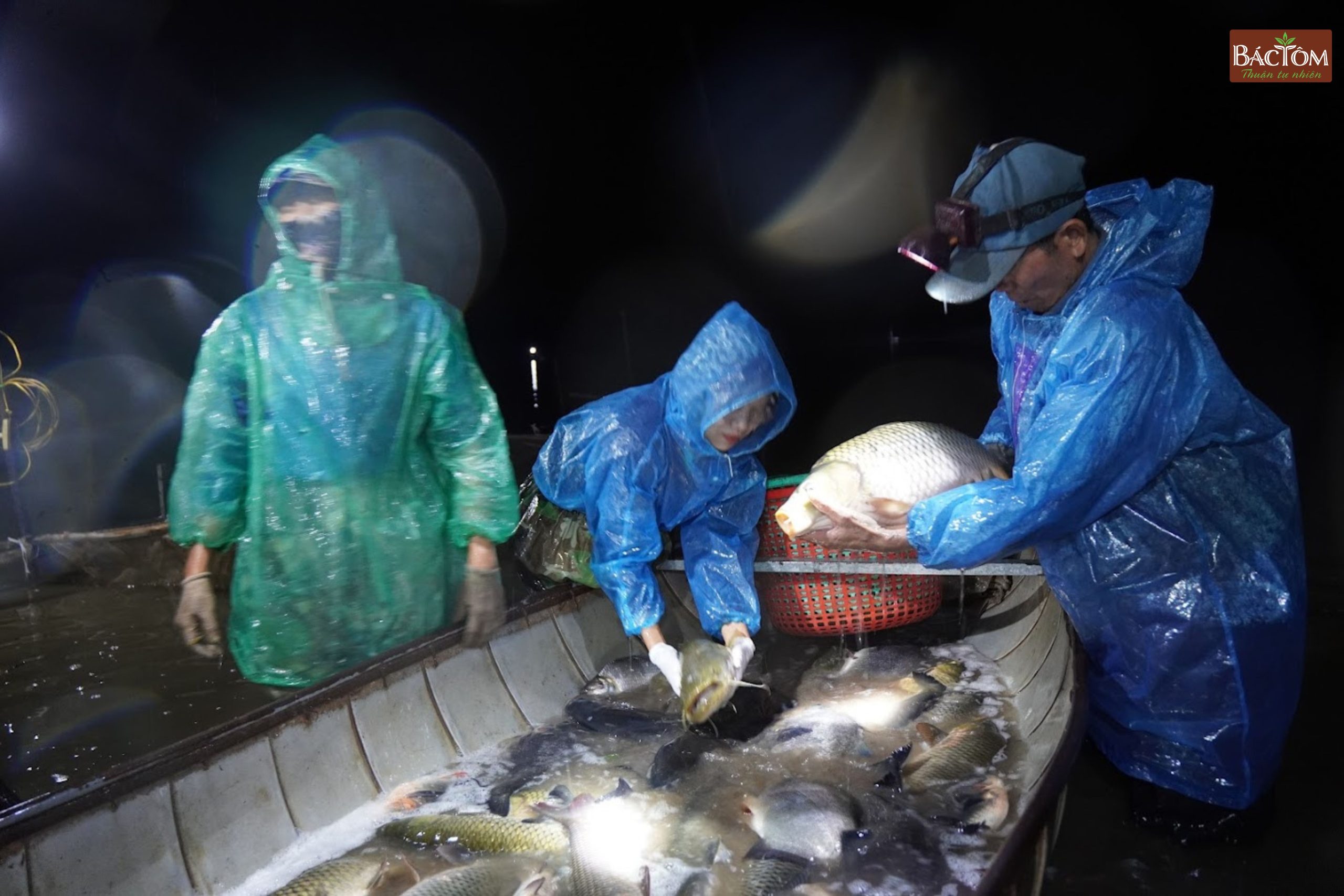 kéo cá tại đầm Thanh Lãng 5