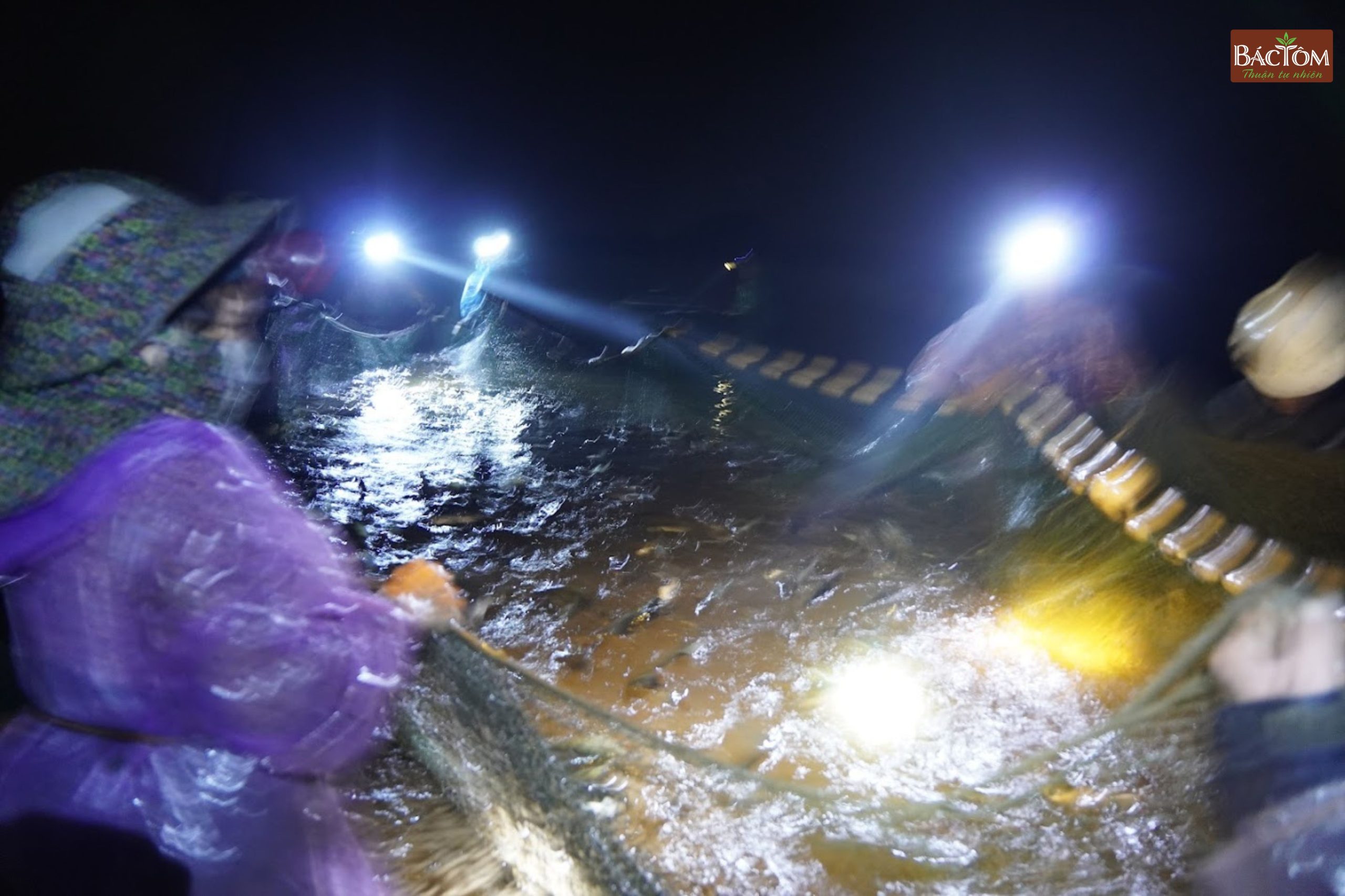 kéo cá tại đầm Thanh Lãng 2