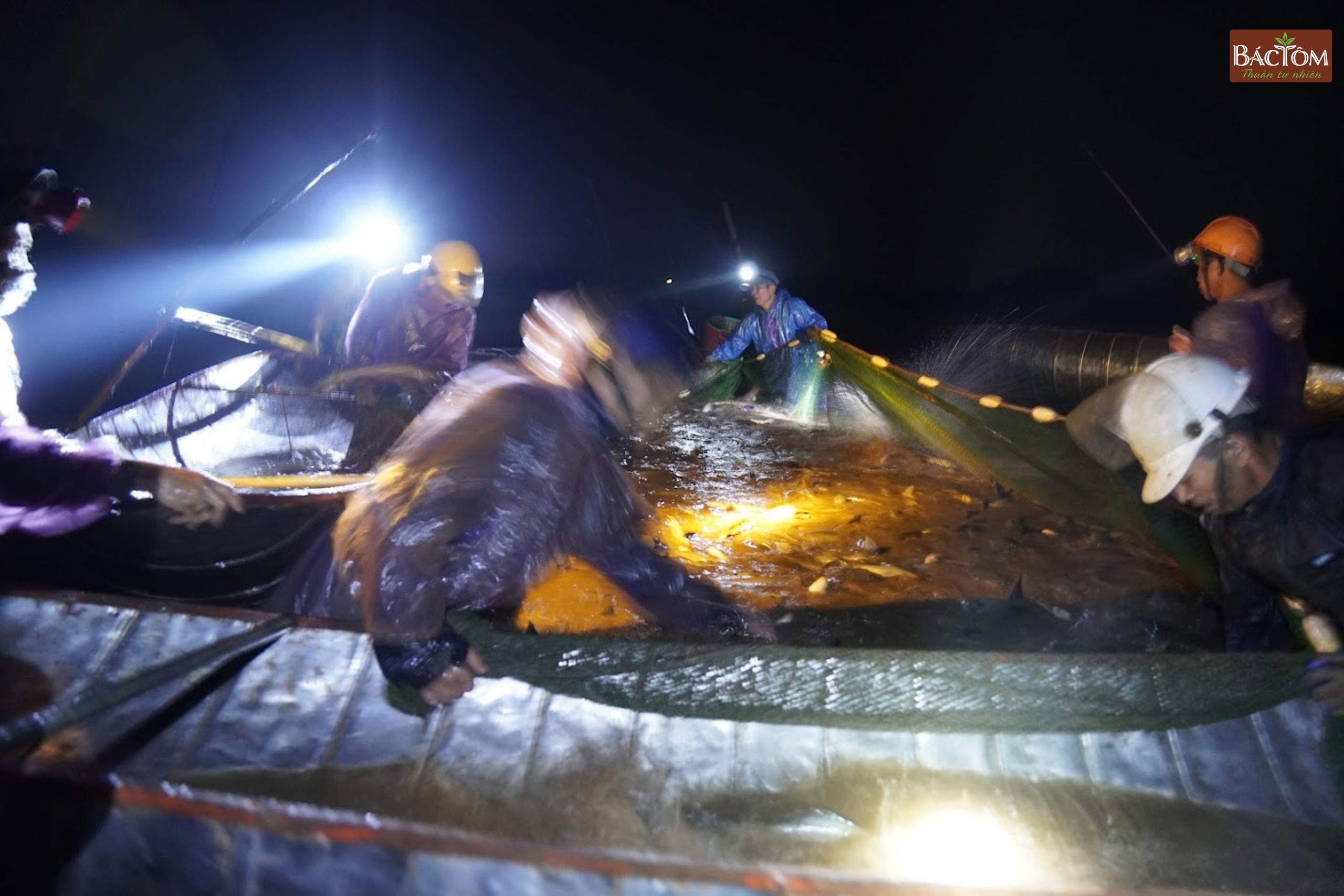 kéo cá tại đầm Thanh Lãng 4