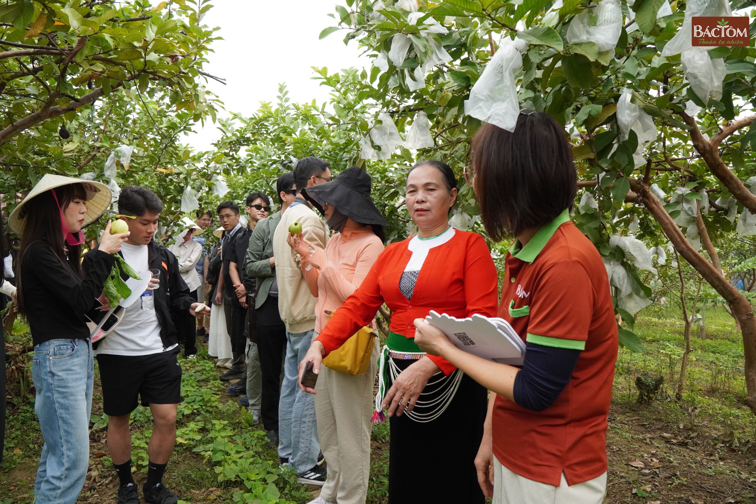 Cô Đường - Farm PGS Đồng Sương