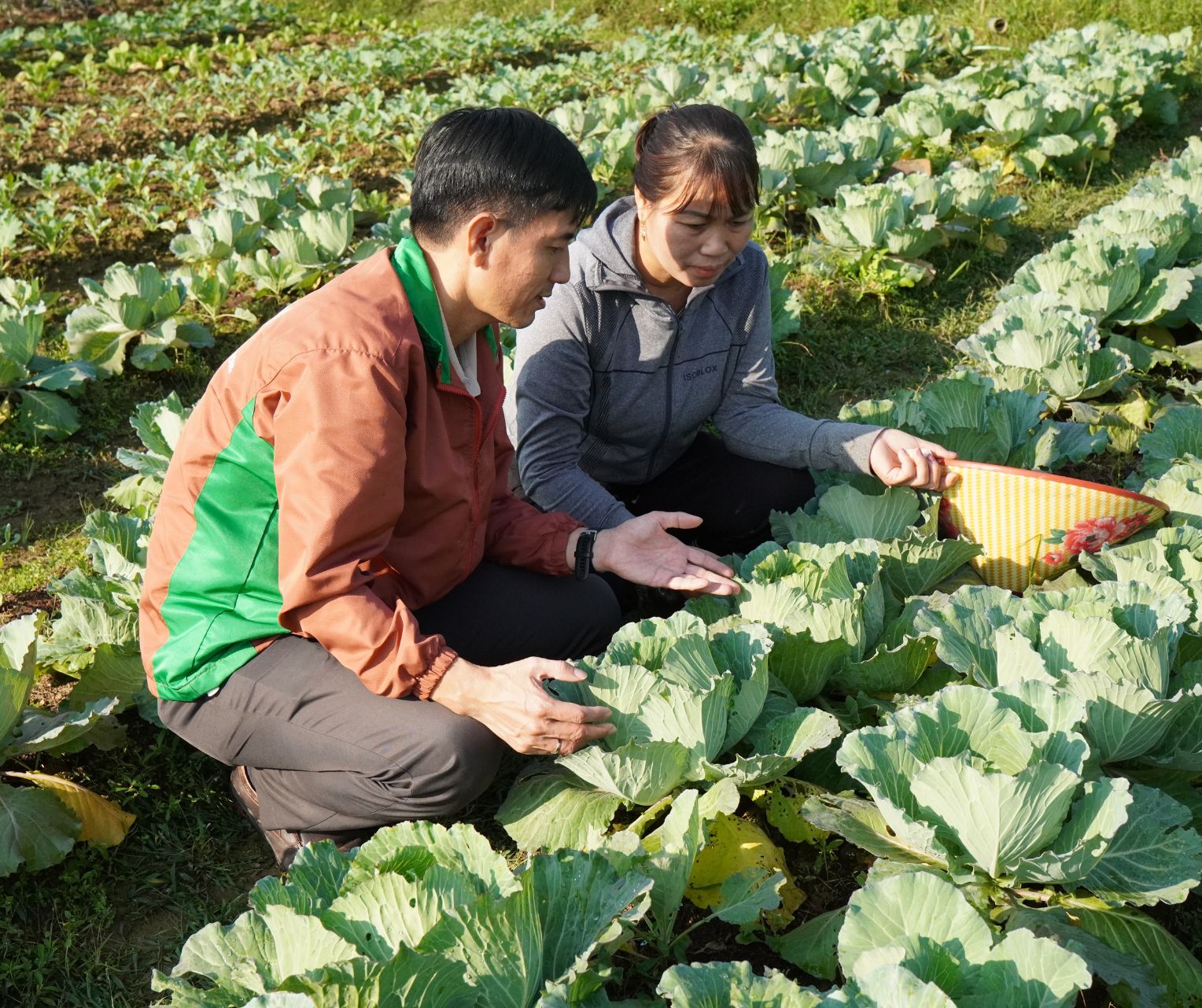 Kỹ sư thực địa Trần Quang