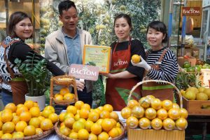 Cam giòn thượng lộc 1