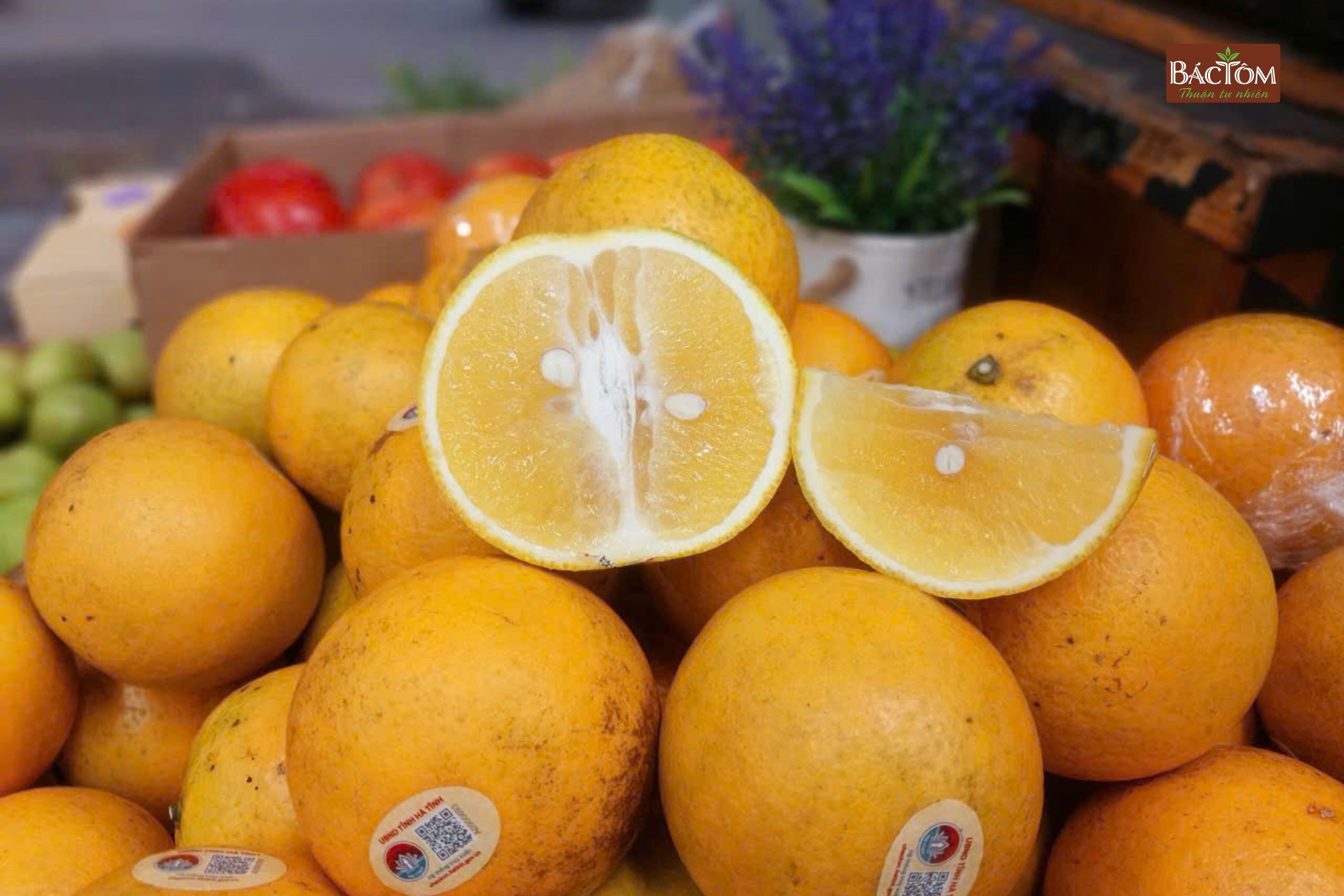 Cam giòn thượng lộc 3