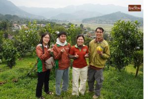 Farm vú sữa Hoàng Toàn 2