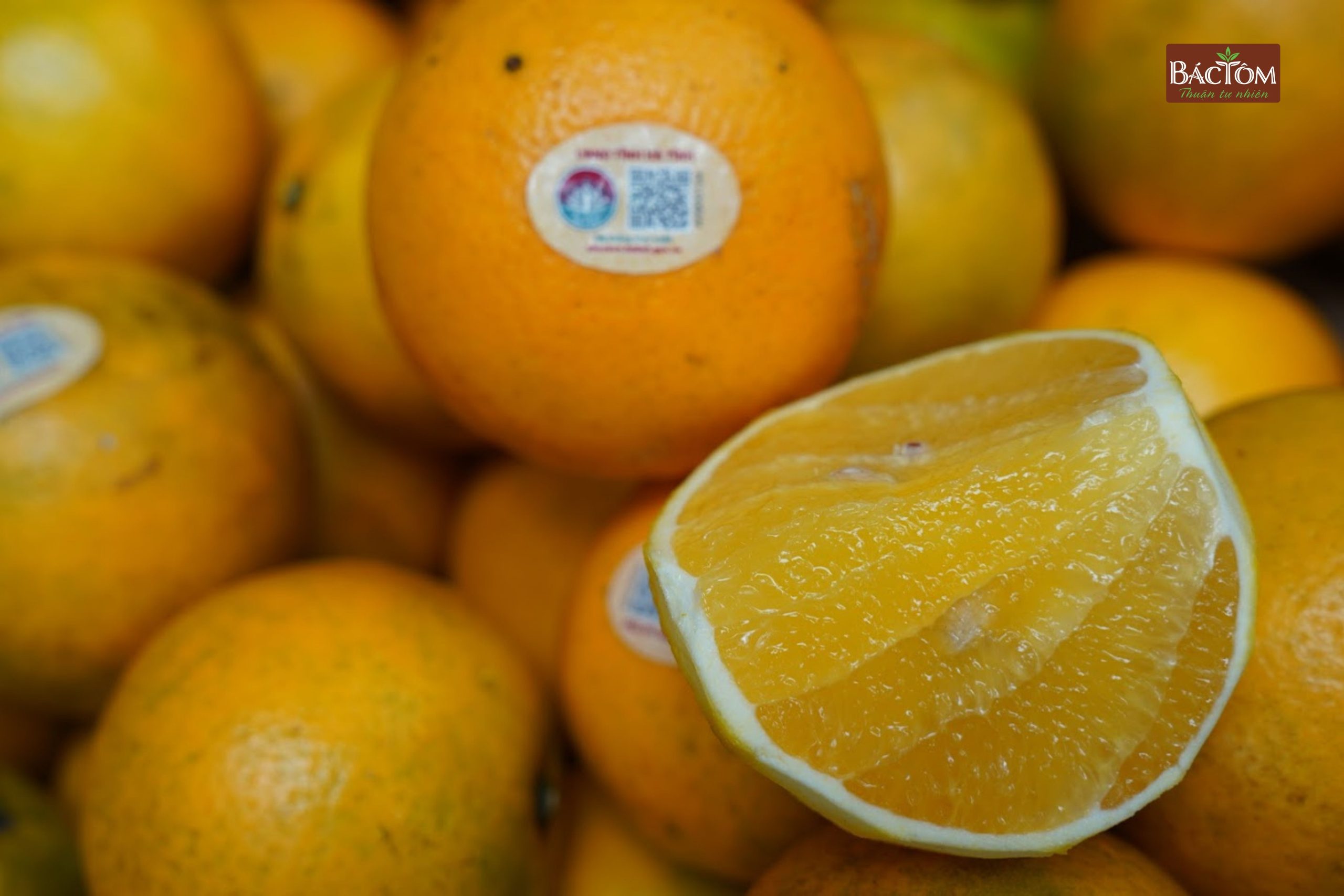 Cam giòn thượng lộc 4