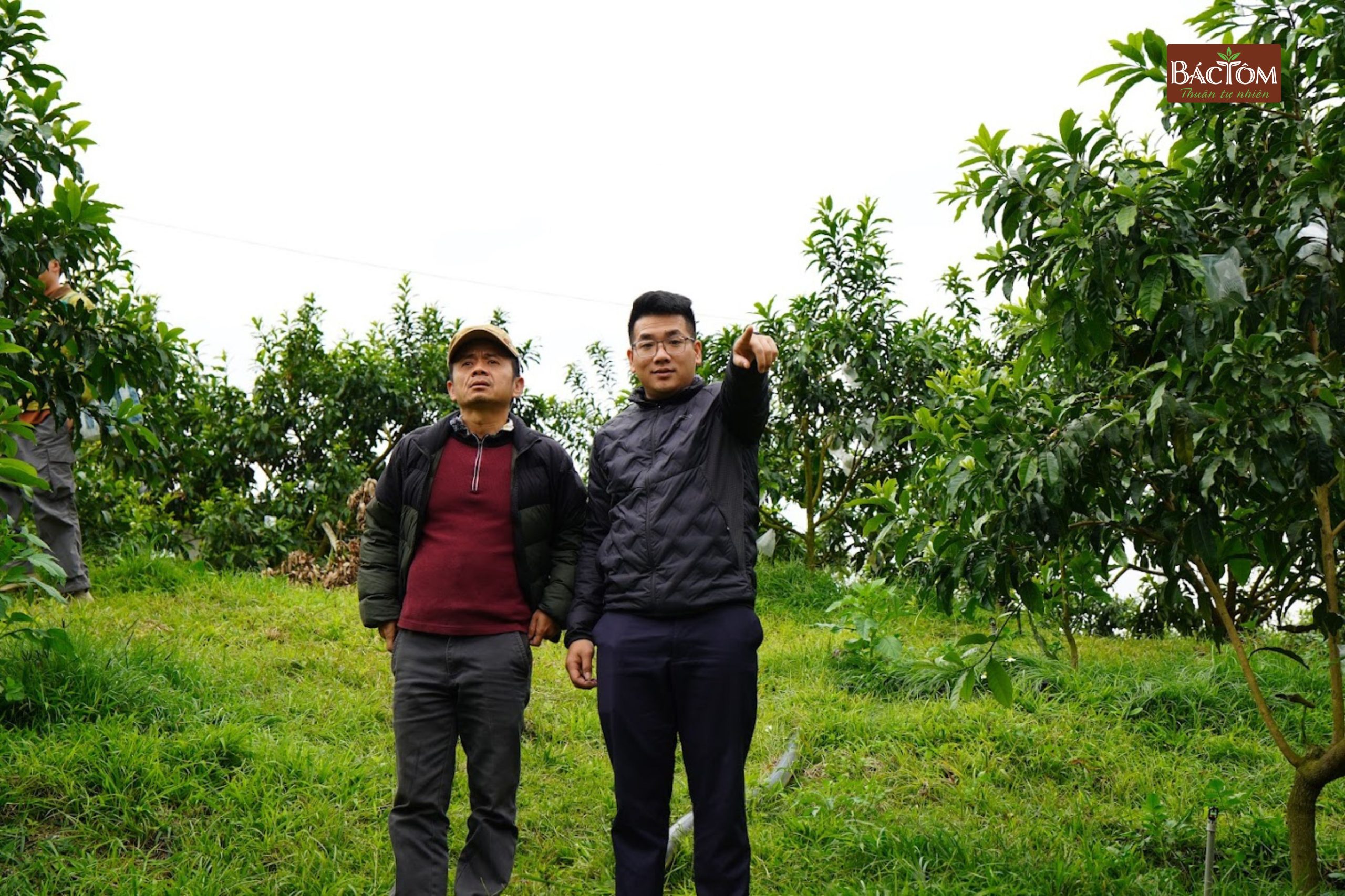 Farm vú sữa Hoàng Toàn