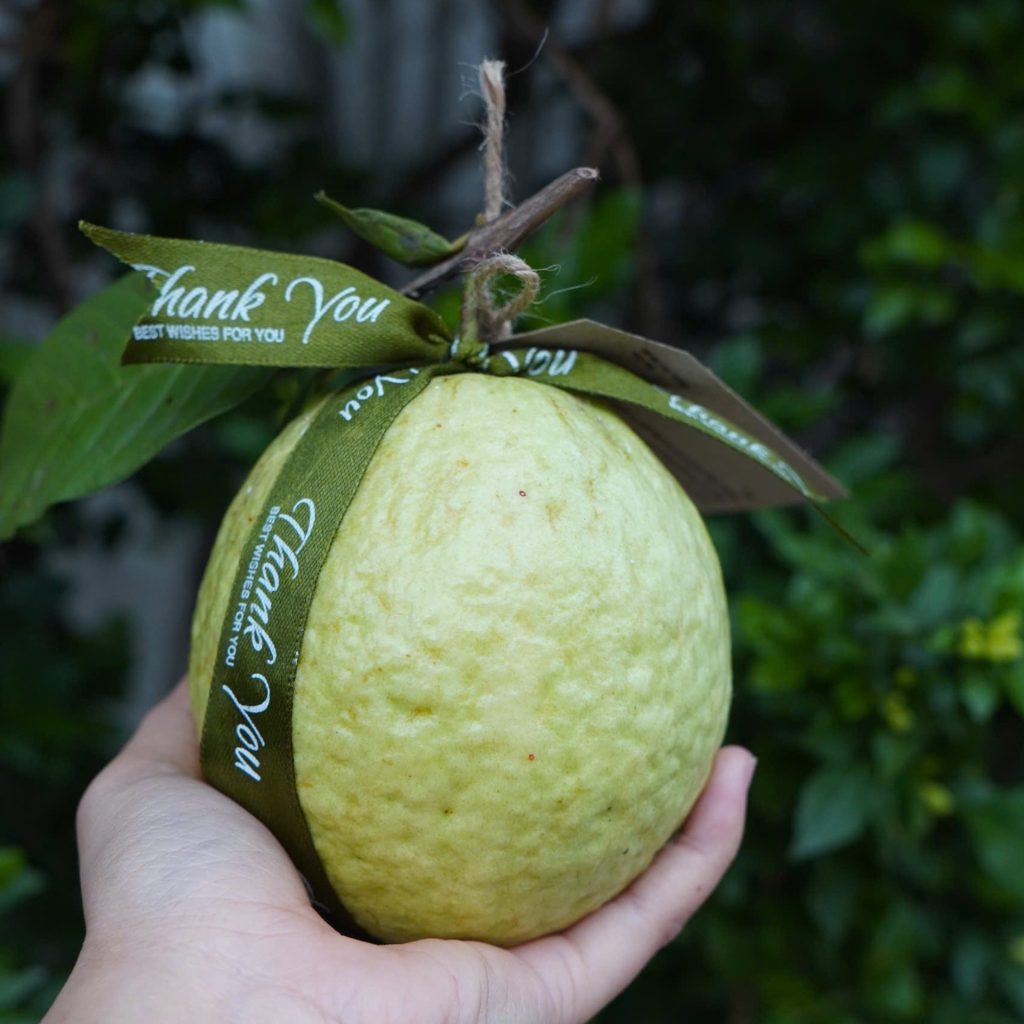 gui-loi-cam-on-nhung-nguoi-phu-nu