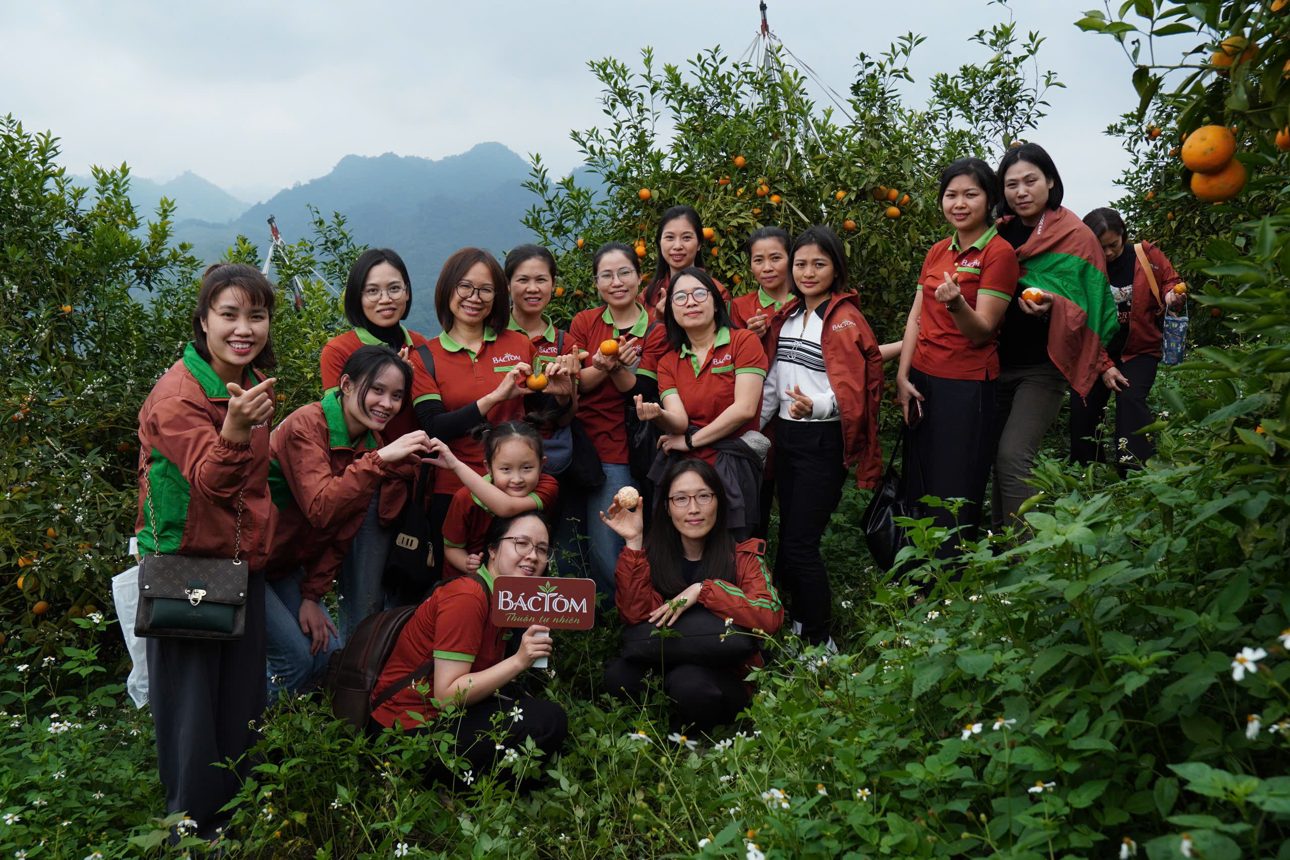 chuyen-di-dau-nam-cua-bac-tom-tai-vitropi-garden-tu-vuon-quyt-sim-den-cau-chuyen-tam-thuan