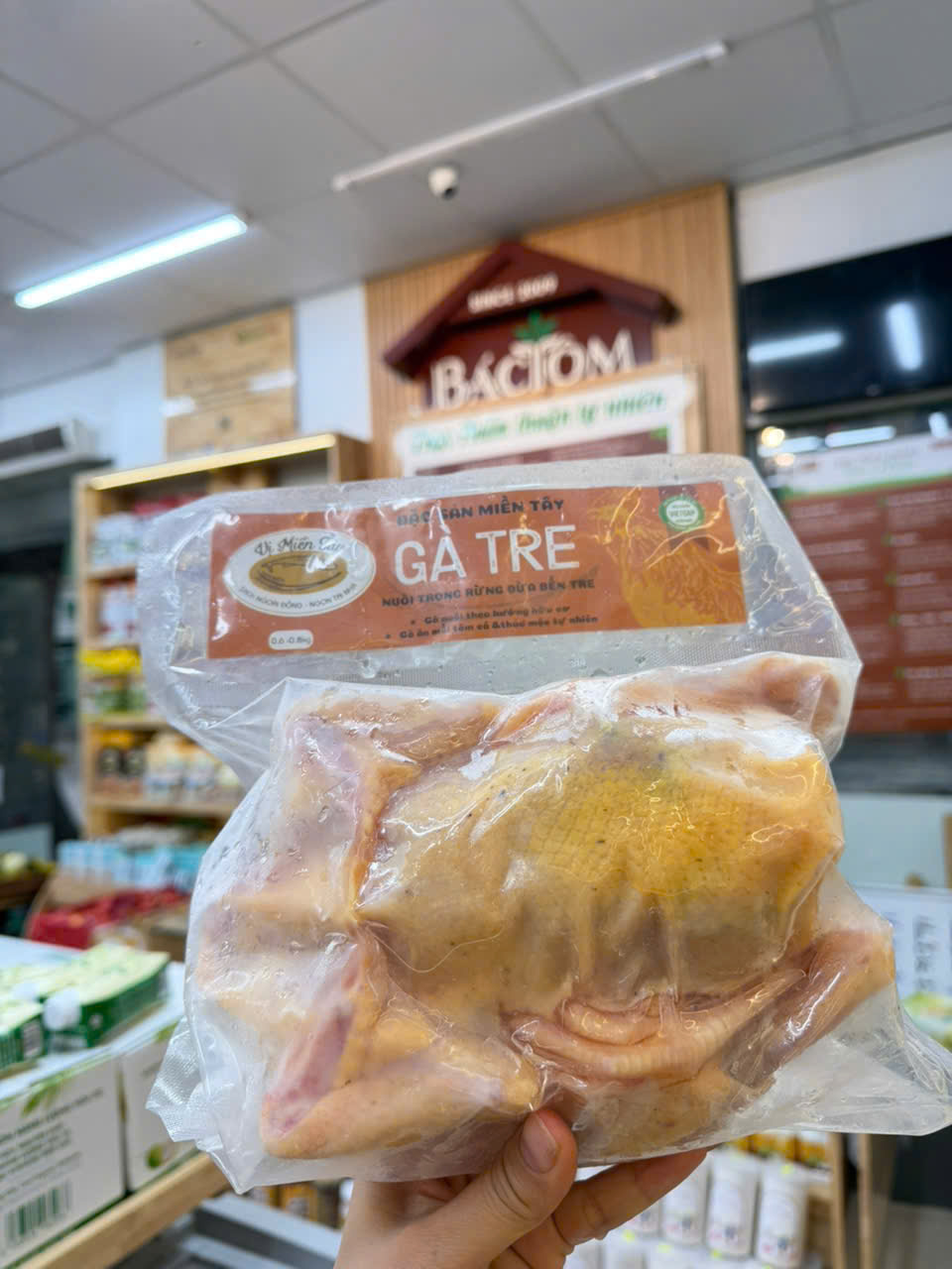 GÀ TRE VƯỜN DỪA