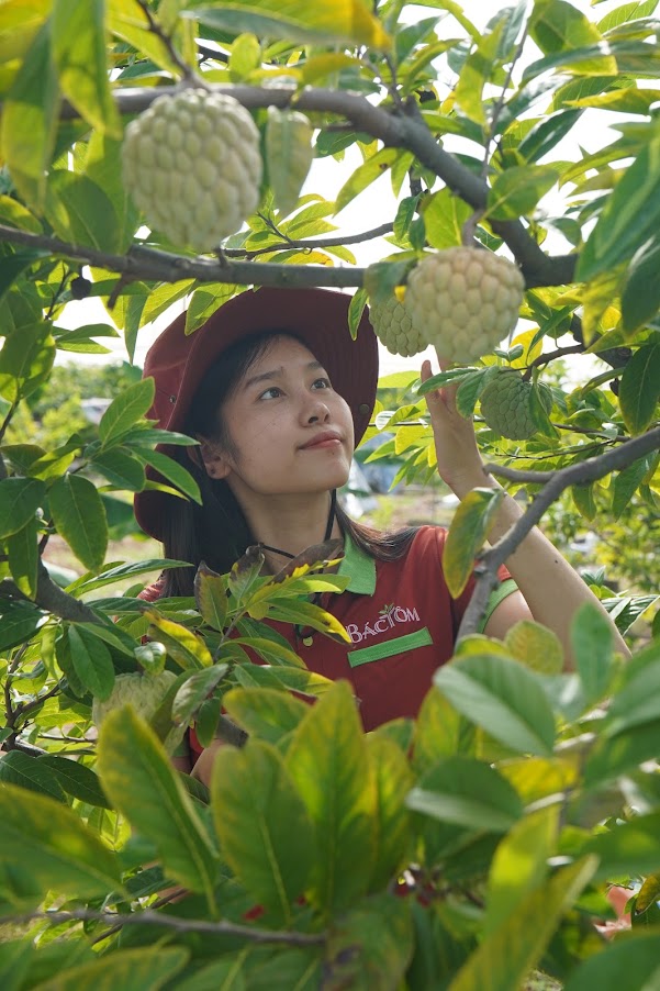 NA BỞ LIÊN KHÊ